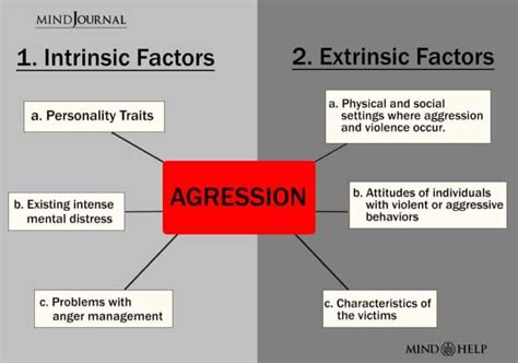 What are the factors affecting aggression?